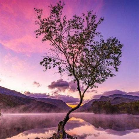 El Rbol Solitario Y Otras Espectaculares Im Genes De La Naturaleza