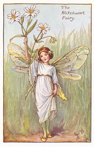 Flower Fairies Antique Flower Fairy Prints 1930 50