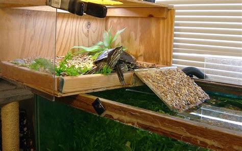 Red Slider Turtle Habitat Aquarium For Our Turtle Pinterest The O