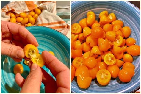 Marmellata Di Mandarini Cinesi Kumquat Alla Cannella Con Bimby