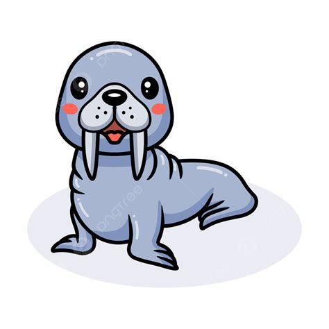 Cute Little Walrus Cartoon Posing Ivory Marine Ice Png And Vector