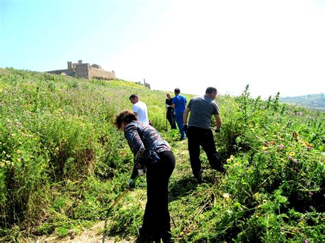 Volontari Allopera Per Pulire Il Sentiero Del Castello Di Calatubo