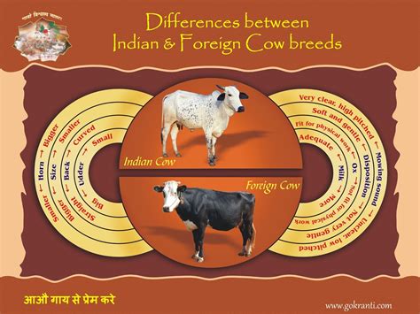 Aao Gay Se Prem Kare