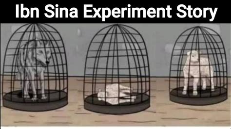 Ibn Sina Avicenna Experiment Lamb Wolf Story Youtube