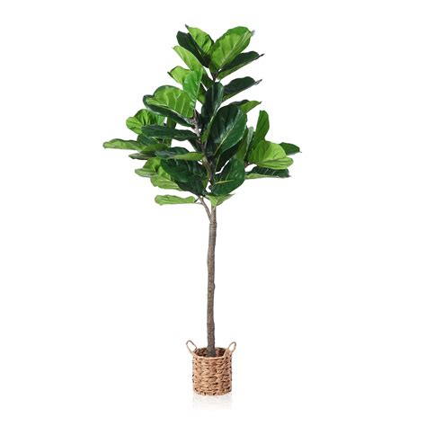 Buy Dr Planzen Artificial Fiddle Leaf Fig Tree 5FT Tall Faux Plants