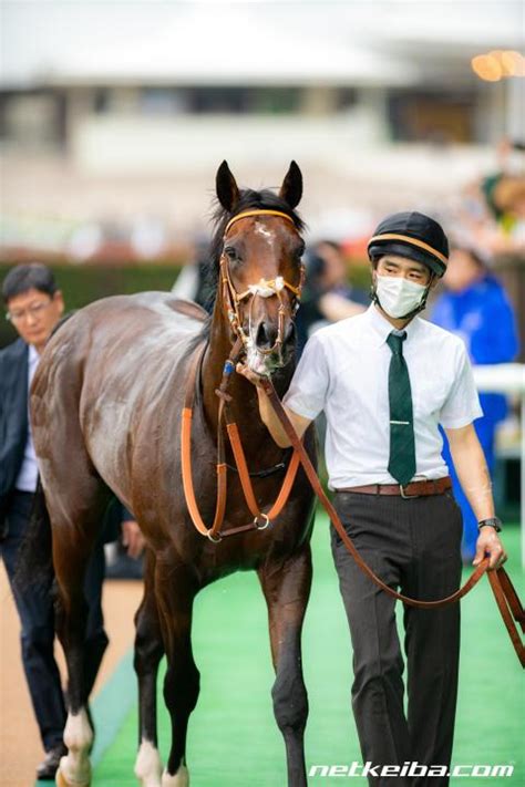 【アイビーs】4・5億円馬ダノンエアズロックがデビュー2連勝 モレイラ騎手「将来が楽しみ」 競馬ニュース Netkeiba