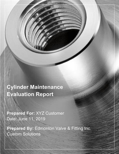 PDF Cylinder Maintenance Evaluation Report Swagelok DOKUMEN TIPS