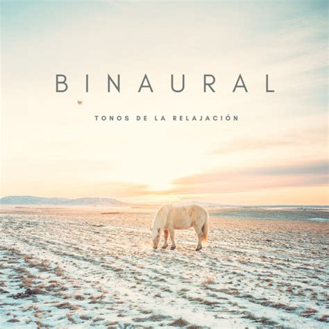 Binaural Tonos De La Relajaci N Album By Musica Para Meditacion