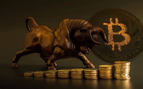 Crypto Bull Run Started Araw Coin