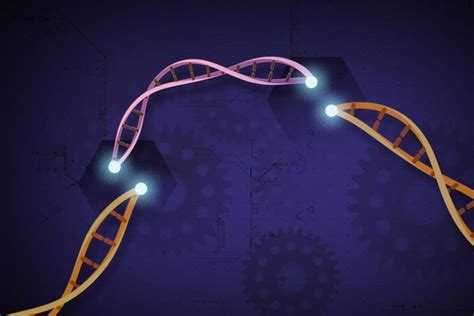 Una Nueva Herramienta Ofrece Formas De Mejorar El Método De Edición Genética Crispr