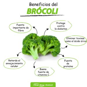 Br Coli Seis Beneficios Que Aporta A Tu Salud Y Como Prepararlo