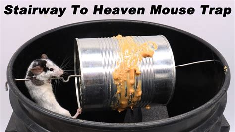 How To Make The Stairway To Heaven Mouse Trap In 15 Minutes Simple And