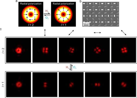 Vector Beam Switching Between Different Polarization Orders A