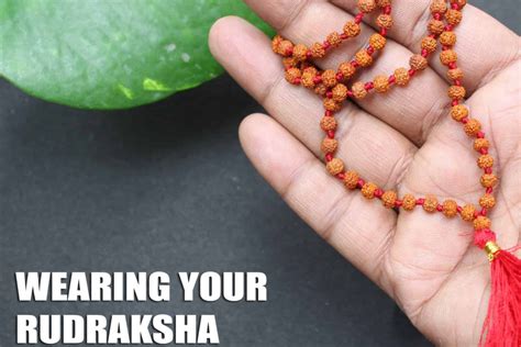 How To Wear Rudraksha First Time Omrudraksha