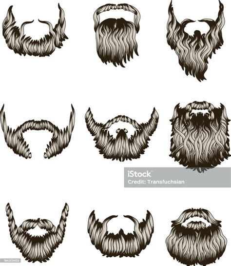 Set Of Hand Drawn Beards Stock Illustration Download Image Now Istock