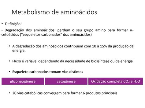 SOLUTION Aula Sobre O Metabolismo De Amino Cidos Studypool