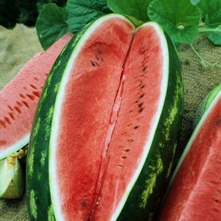 Watermelon Seeds - All Sweet | Vegetable Seeds in Packets & Bulk | Eden ...