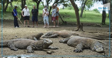 Sandiaga Uno Pastikan Tiket Masuk Pulau Komodo Tetap Rp Juta