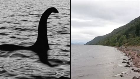 Nessie Sightings