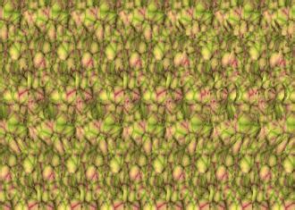 What Hides This Stereogram Brain Teasers