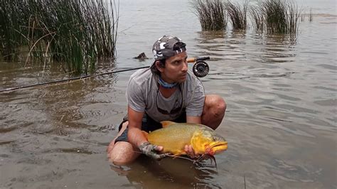 Home Fr Buenos Aires Fly Fishing