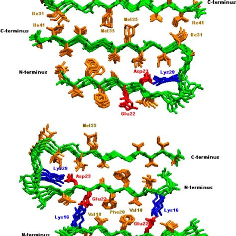 Double Layered Structural Models Of Ab Oligomers Two B Sheets Were