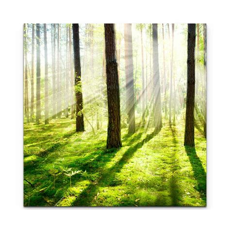 East Urban Home Leinwandbild Sonnenstrahlen Im Wald Wayfair De