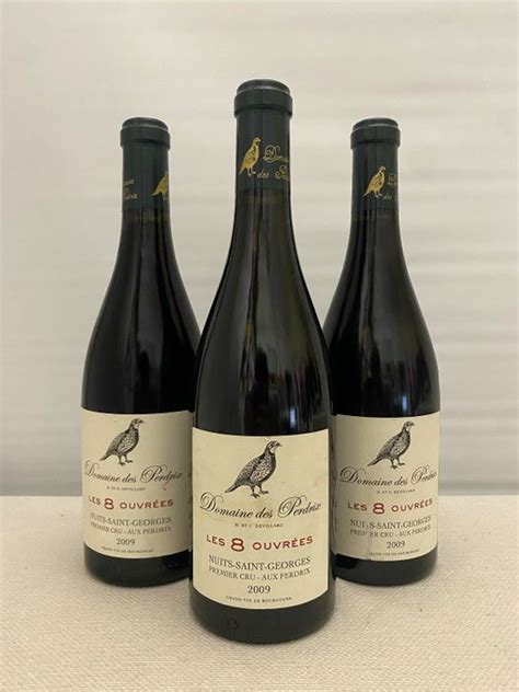 Domaine Des Perdrix Les Ouvrees Nuits St Georges Catawiki