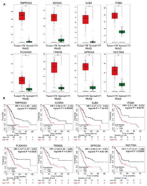 Frontiers A Prognostic Prediction Model Developed Based On Four Cpg