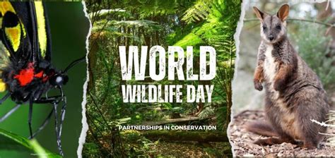 Celebrating Our Conservation Partnerships This World Wildlife Day 2023