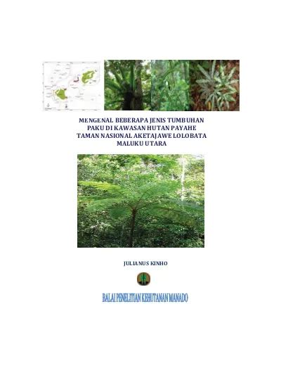 Mengenal Beberapa Jenis Tumbuhan Paku Di Kawasan Hutan Payahe Taman