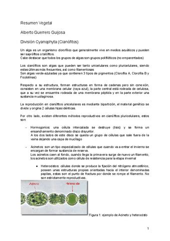 Temario Diversidad Vegetal Alberto Guerrero Docx Pdf