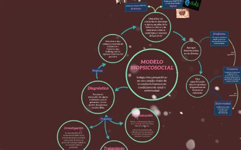 Proceso Biopsicosocial Proceso Biopsicosocial El Origen Del Modelo