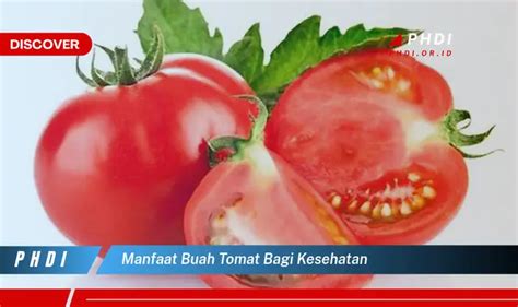 Temukan 7 Manfaat Buah Tomat Yang Bikin Kamu Penasaran Untuk Kesehatan