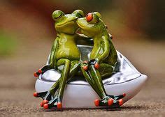 Meilleures Id Es Sur Image Grenouille Image Grenouille Grenouille