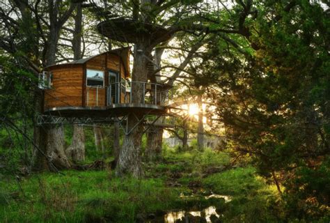 22 Incredible Treehouses You Can Rent In Texas Tx Treehouse Rentals