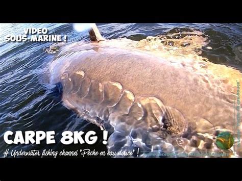 Carpe Cuir Kg Amiens Vid O Sous Marine Cam Ra Waterwolf