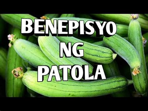 Health Benefits Ng Patola Ii Sponge Gourd Youtube