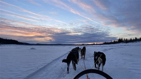 About 2 — Yukon River Camp