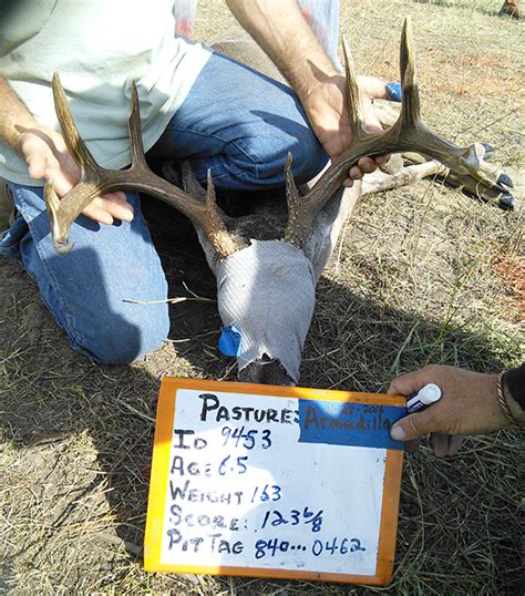 Cull Qdma Capture National Deer Association