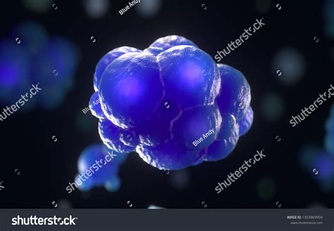 Cells Under Microscopecell Division 3d Renderingconceptual Stock Illustration 1353969959 ...