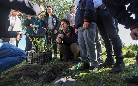 Ministra del Medio Ambiente encabezó plantación de árboles nativos para