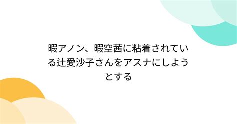 暇アノン、暇空茜に粘着されている辻愛沙子さんをアスナにしようとする Togetter トゥギャッター