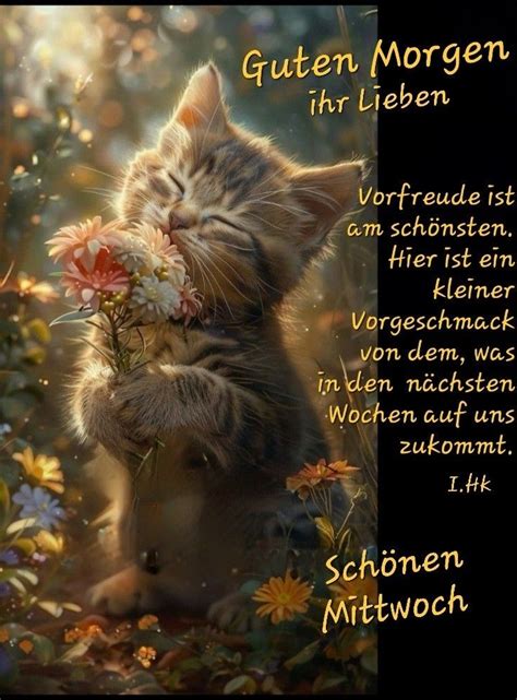 Guten Morgen 240424 Guten Morgen Bilder Mittwoch Guten Morgen