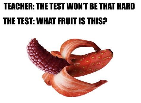 Tastes Of Snozberries 9gag