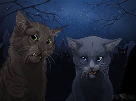 Коты воители метеор арт - фото и картинки abrakadabra.fun