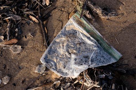 Great Lakes Plastic Pollution By Michael Courier Photography