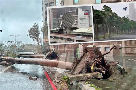 山陀兒驚奇暴風「什麼都能吹跑」 屋頂沒了、路樹倒了空中還有內褲飄 政治新聞 Pchome Online 新聞