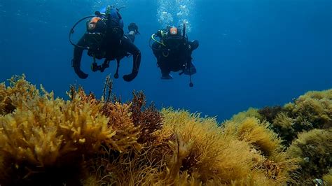 Ghar Lapsi Dive On Malta