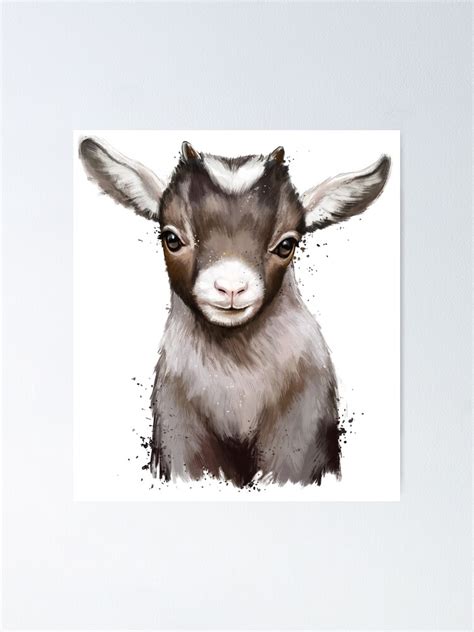 Baby Goat Poster For Sale By Niti Niti Redbubble